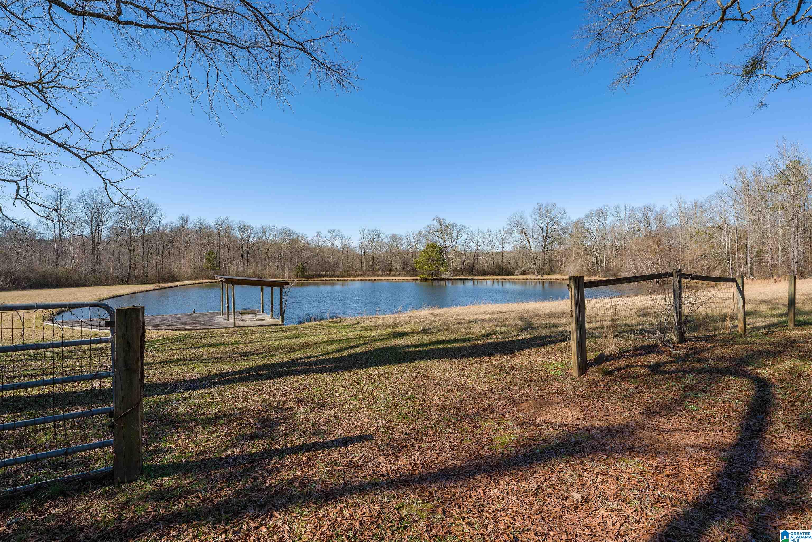 4875 Camp Creek Road South Pell City, AL 35128 - Photo 35 of 47