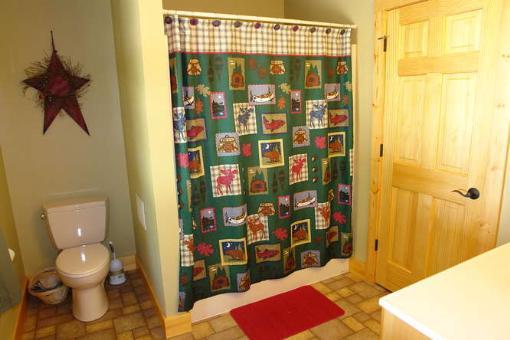 569 Sam Reed Road Northwest Floyd, VA 24091 - Photo 16 of 22 a bathroom with a toilet and a shower curtain