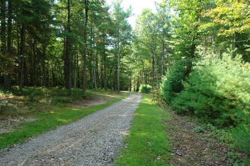 569 Sam Reed Road Northwest Floyd, VA 24091 - Photo 18 of 22 a view of a park with large trees