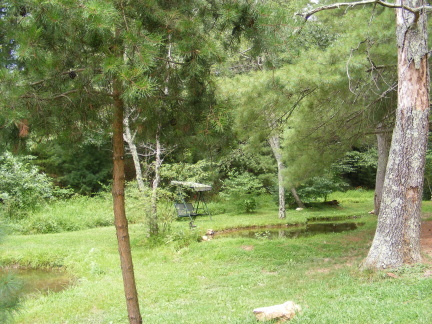 569 Sam Reed Road Northwest Floyd, VA 24091 - Photo 19 of 22 a view of a garden