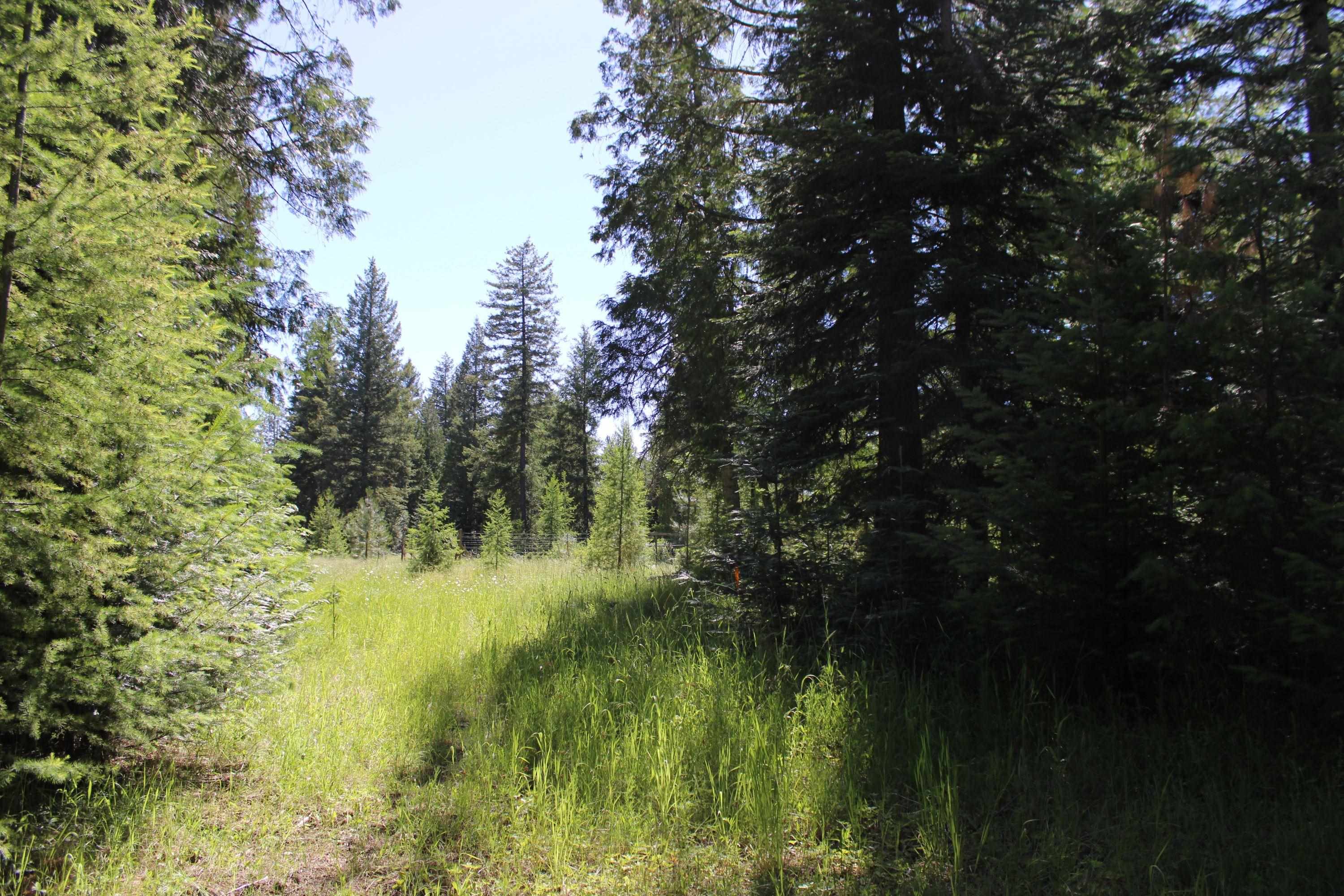 468 Ranch Road Deer Park, WA 99006 - Photo 6 of 8