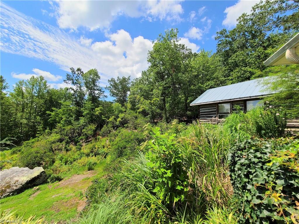 1454 Doyle Cromer Road King, NC 27021 - Photo 33 of 34