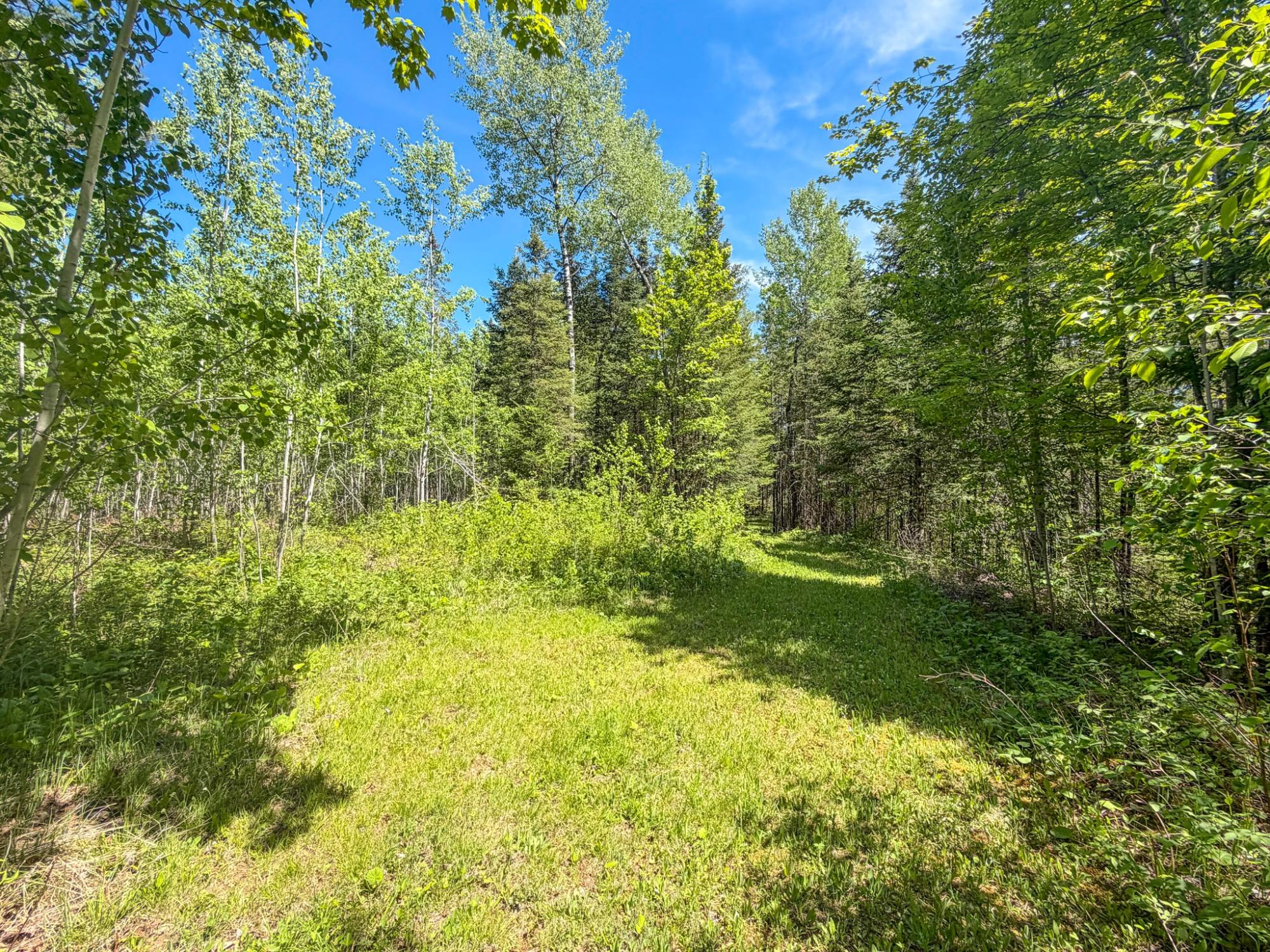 N12226 Highway 13 Fifield, WI 54524 - Photo 76 of 96 Gallery Image 76