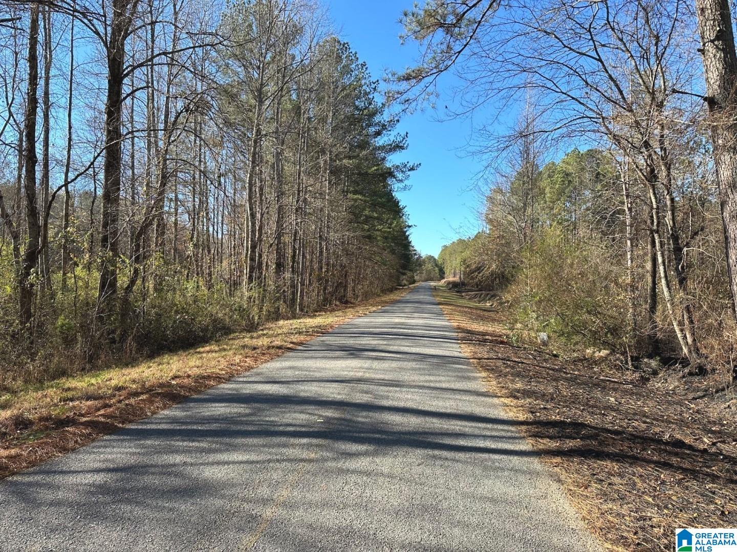 Firehouse Road, Unit 3 66 Goodwater, AL 35072 - Photo 1 of 6