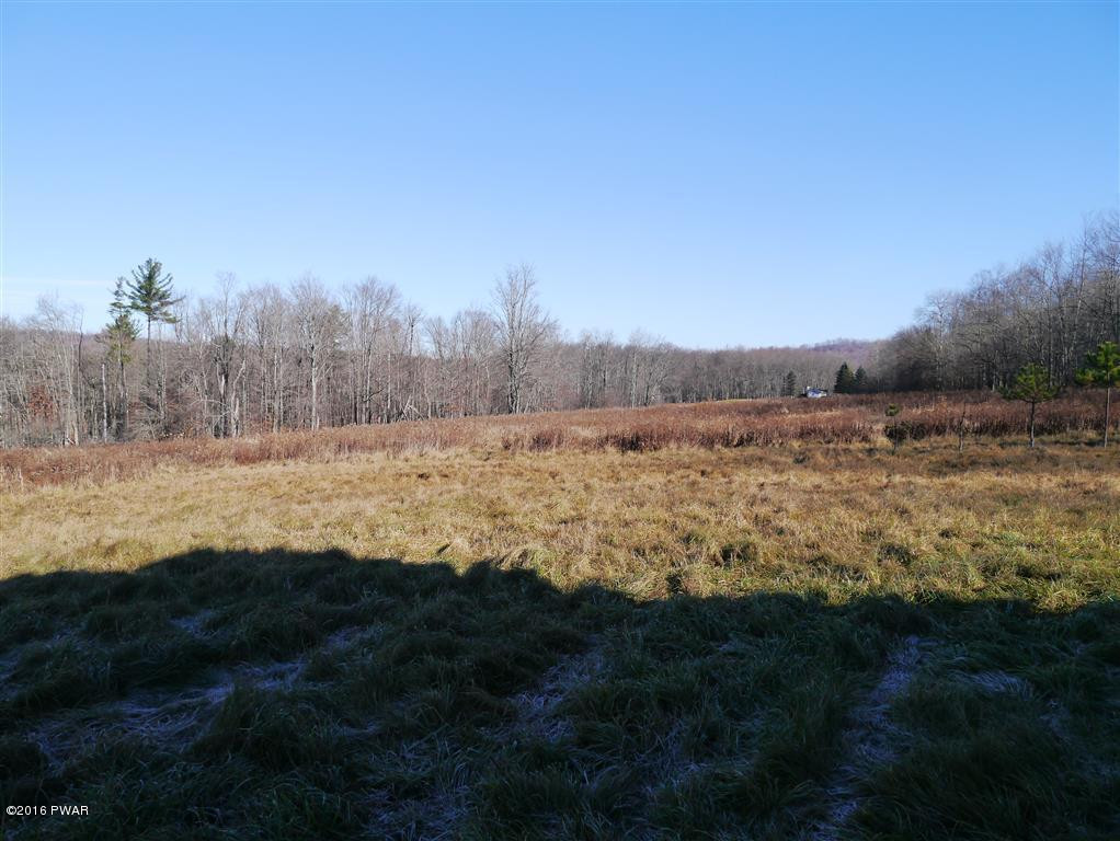 317 Leonard Road Pleasant Mount, PA 18453 - Photo 18 of 24 Fields
