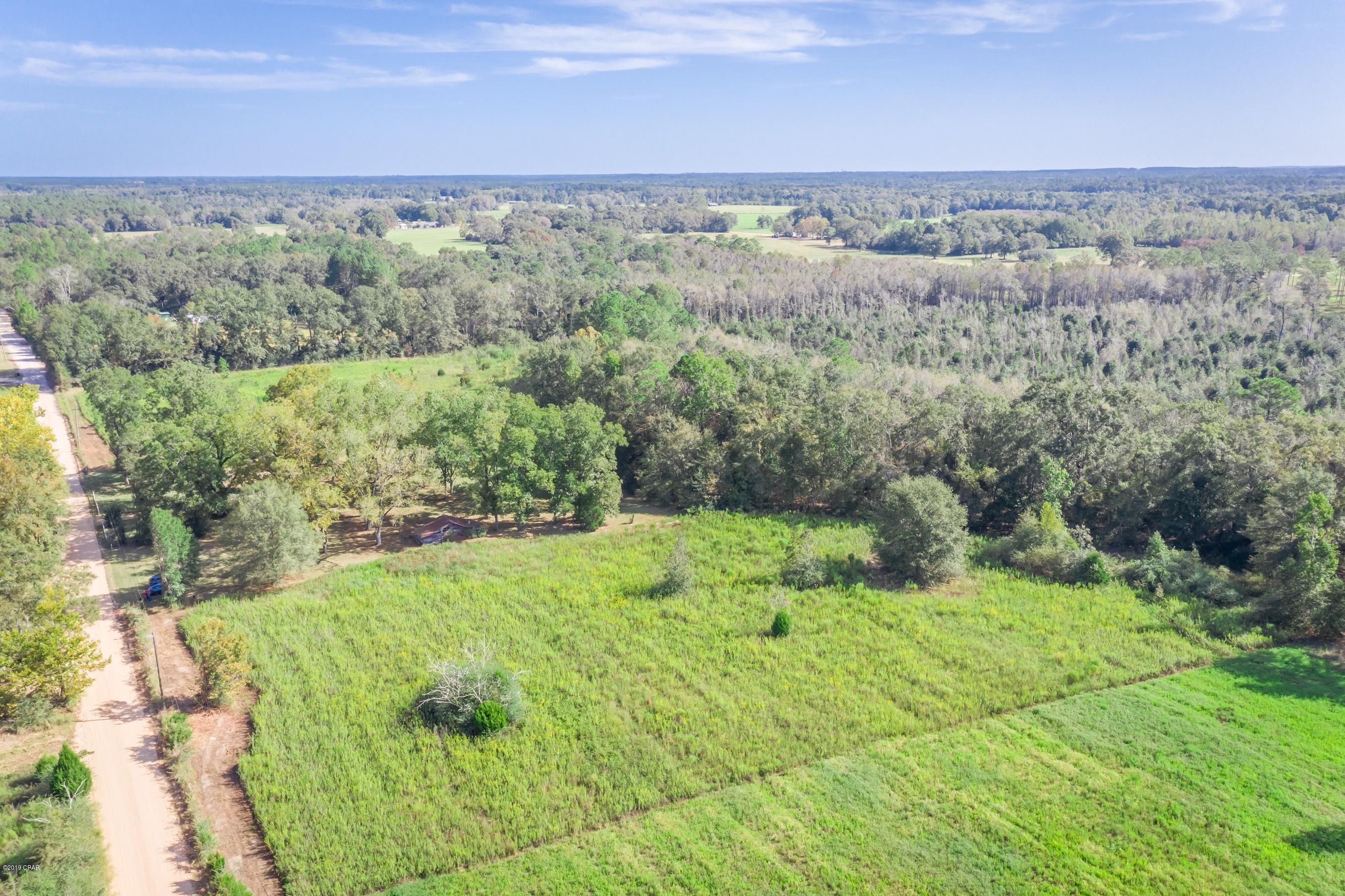 1387 George Johnson Road Bonifay, FL 32425 - Photo 20 of 32 Gallery Image 20