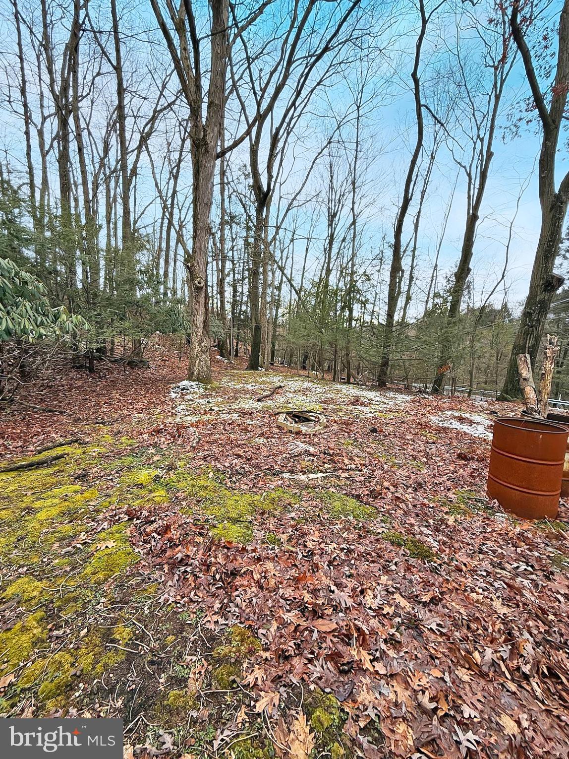 160 Naulton Road Curwensville, PA 16833 - Photo 16 of 16 Yard