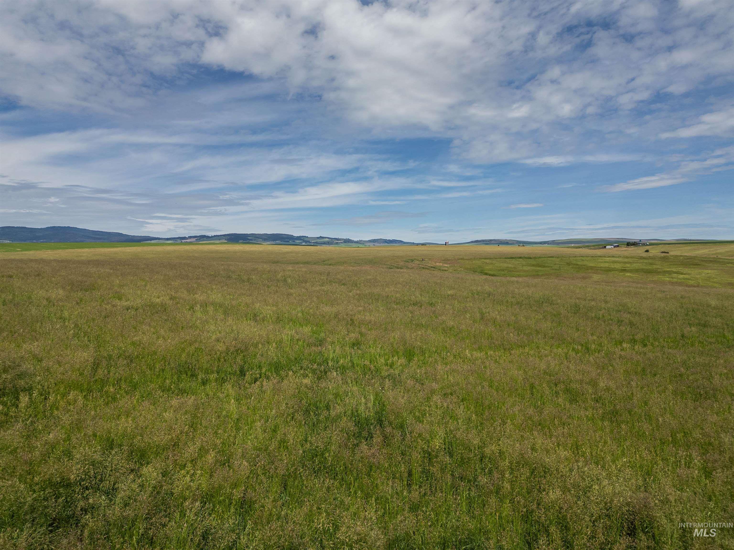Tbd Wasem Road Grangeville, ID 83530 - Photo 7 of 11
