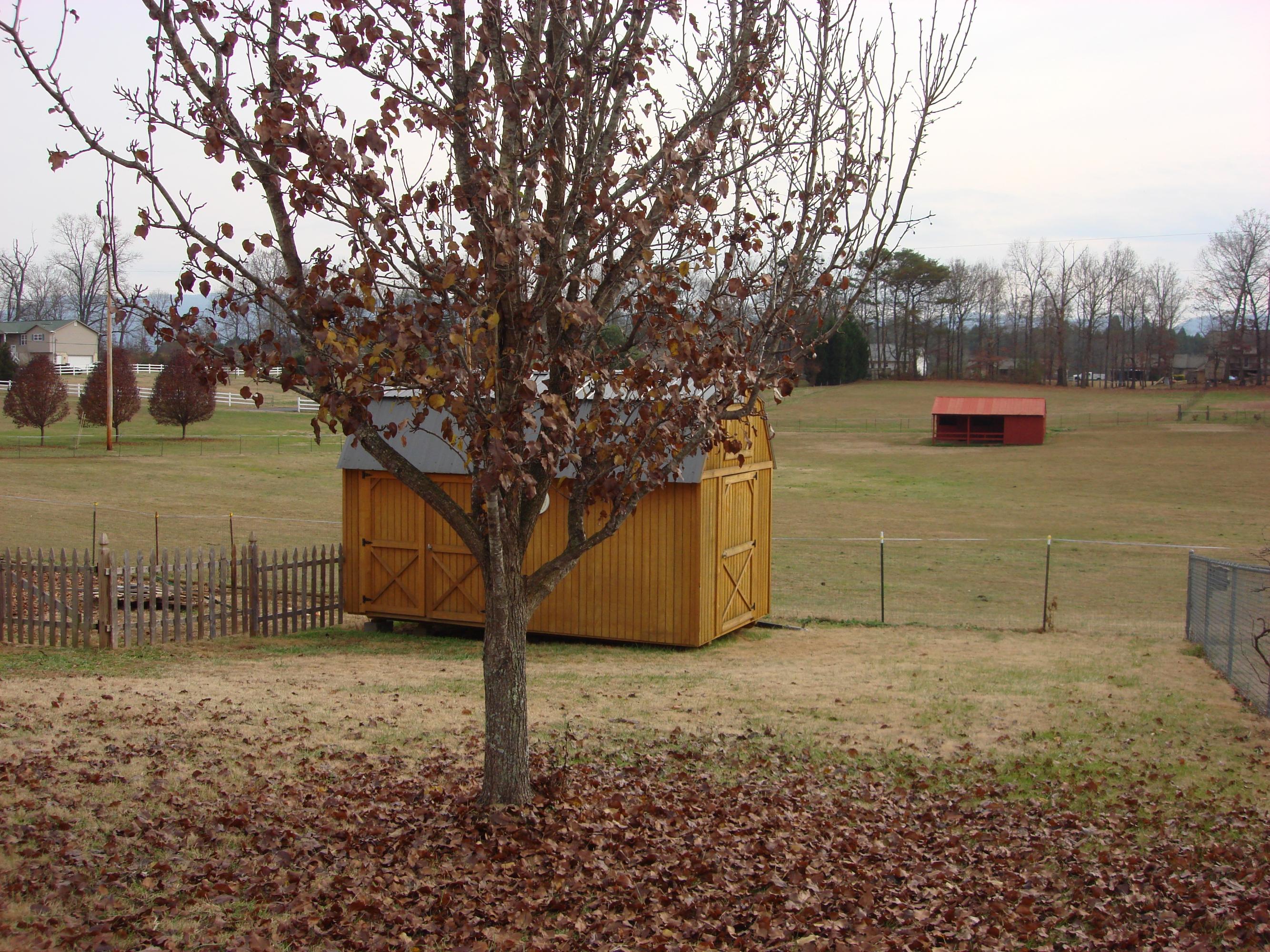 1531 Cunningham Road West Seymour, TN 37865 - Photo 27 of 30 DSC09728