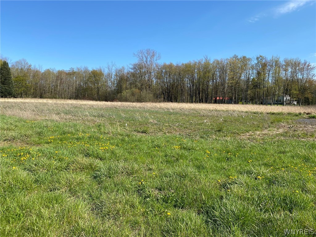 Vl Koepsel Road Akron, NY 14001 - Photo 1 of 1