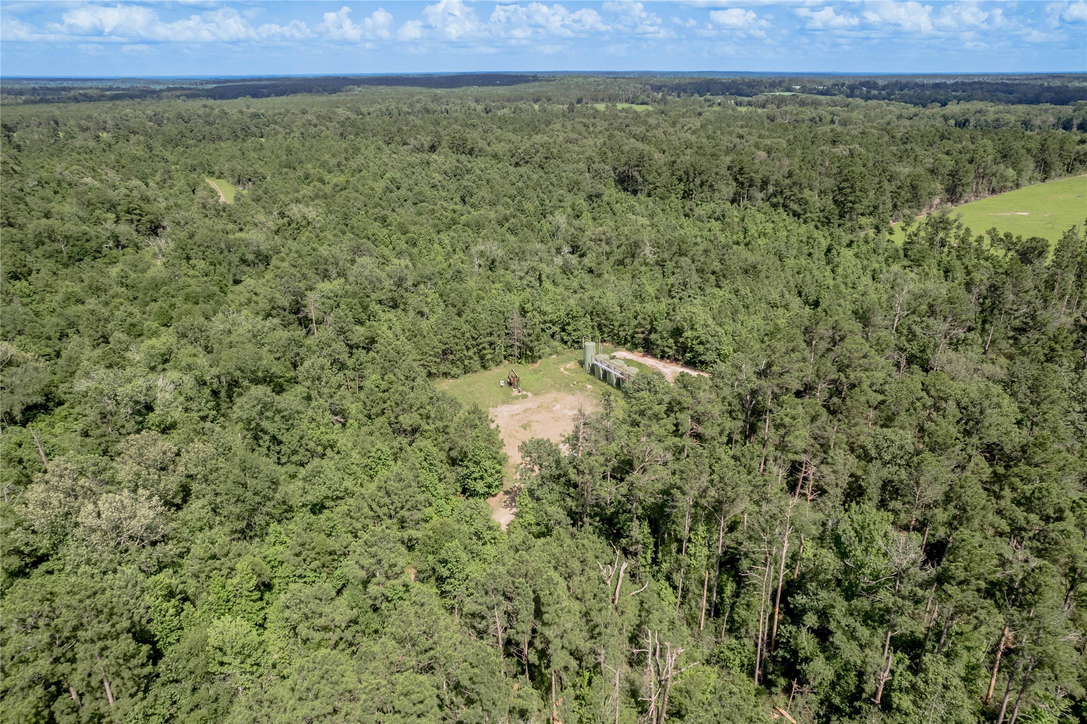 Na Gaston Road Apple Springs, TX 75926 - Photo 11 of 12