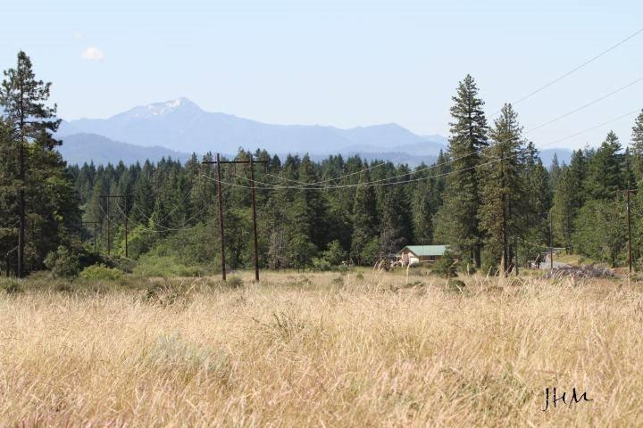 5389 West Side Road Cave Junction, OR 97523 - Photo 1 of 11 Primary Photo