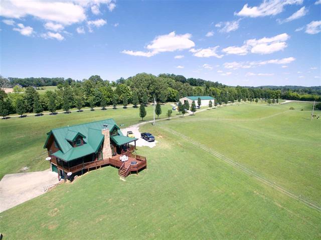 1933 Fain Cemetery Road Dandridge, TN 37725 - Photo 3 of 35 AERIAL VIEW