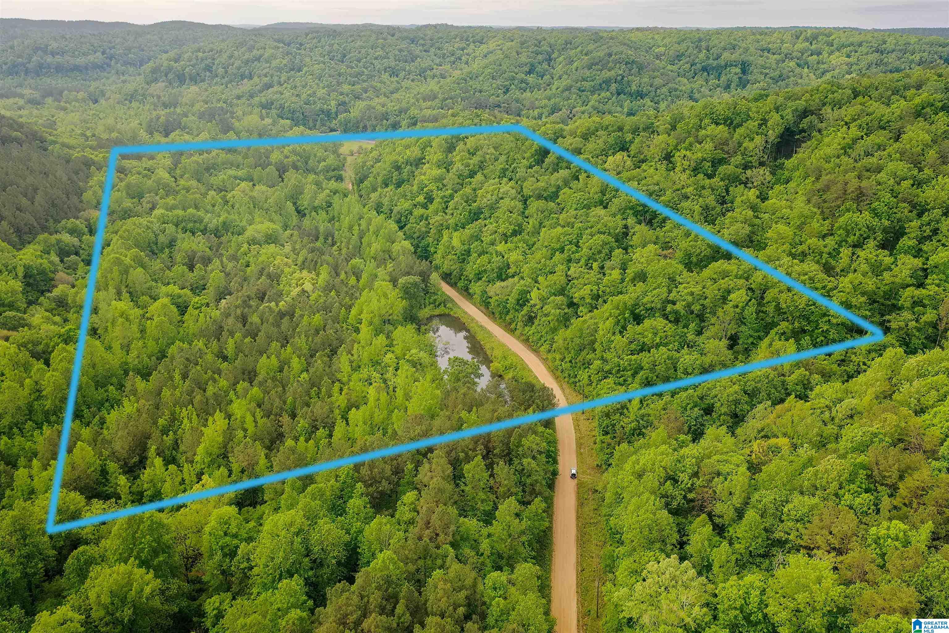 0 Wolf Creek Road Carbon Hill, AL 35549 - Photo 1 of 29