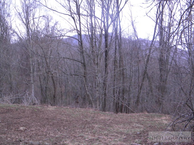 986 Stanley Road Warrensville, NC 28693 - Photo 9 of 10 Gallery Image 9
