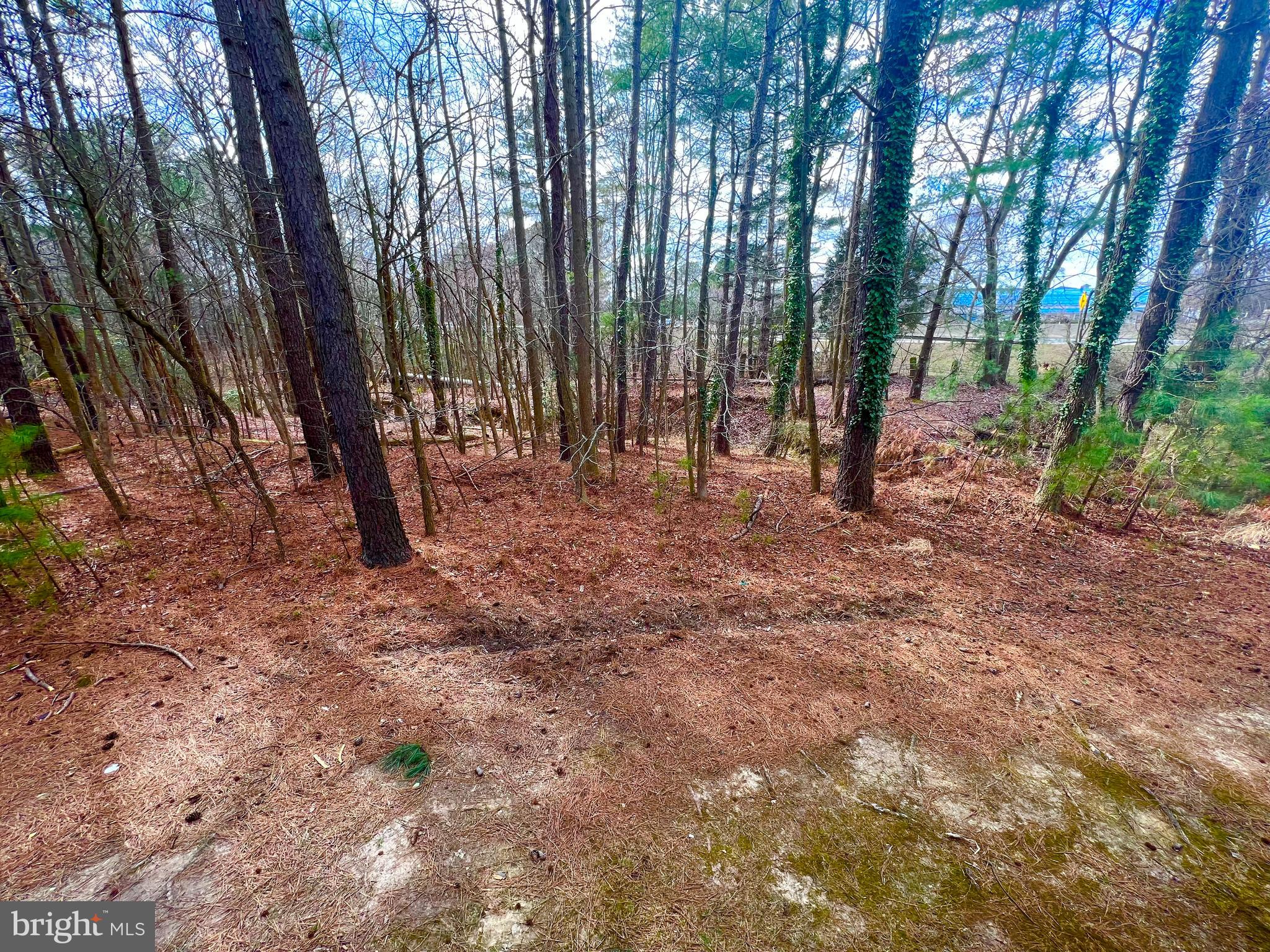1352 Schooner Loop, Unit 1352 Solomons, MD 20688 - Photo 27 of 42 View From Deck