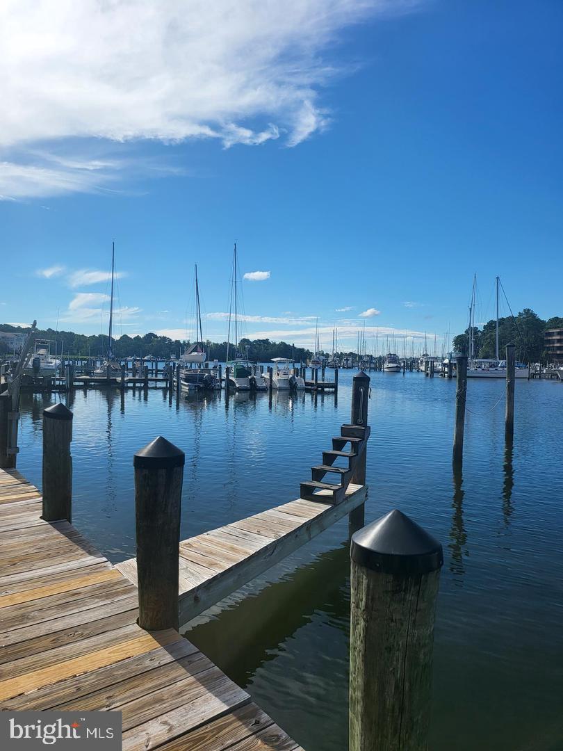 1352 Schooner Loop, Unit 1352 Solomons, MD 20688 - Photo 39 of 42 Boat Slips