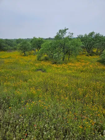 $395,000 | 6990 County Road 246, Richland Springs, TX 76871