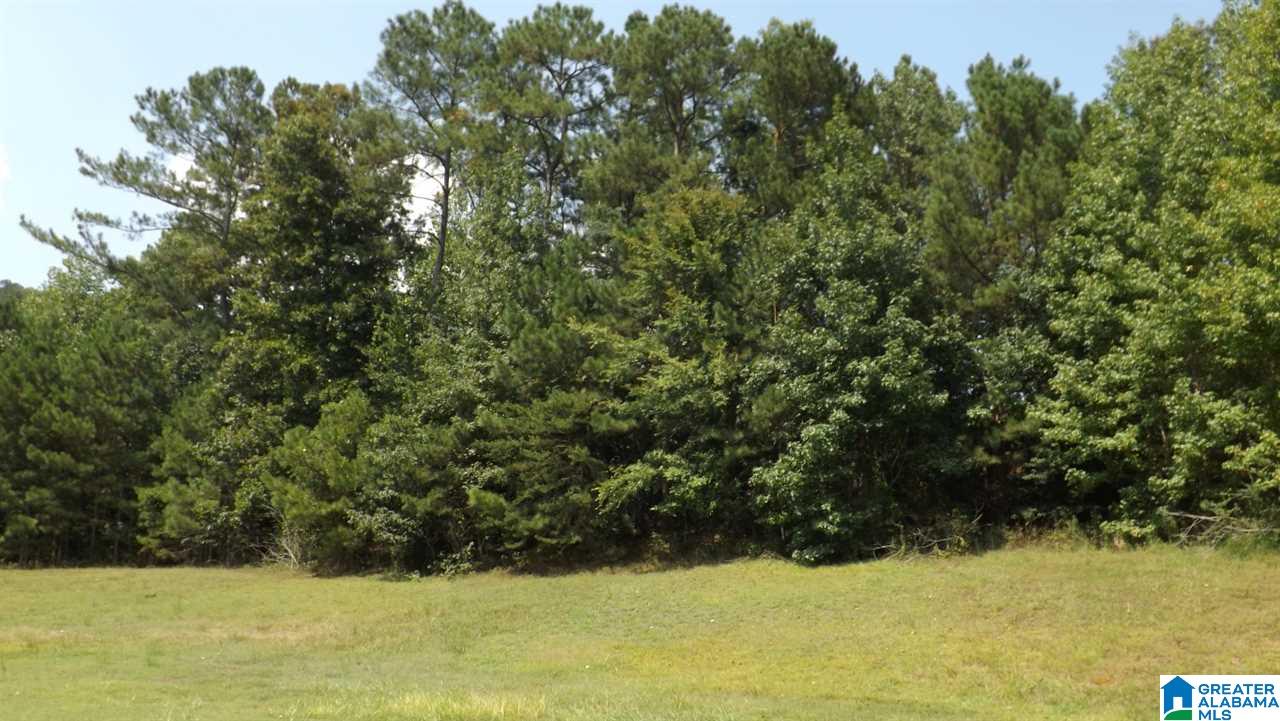 0 Quail Ridge Road, Unit 1 Oneonta, AL 35121 - Photo 9 of 18