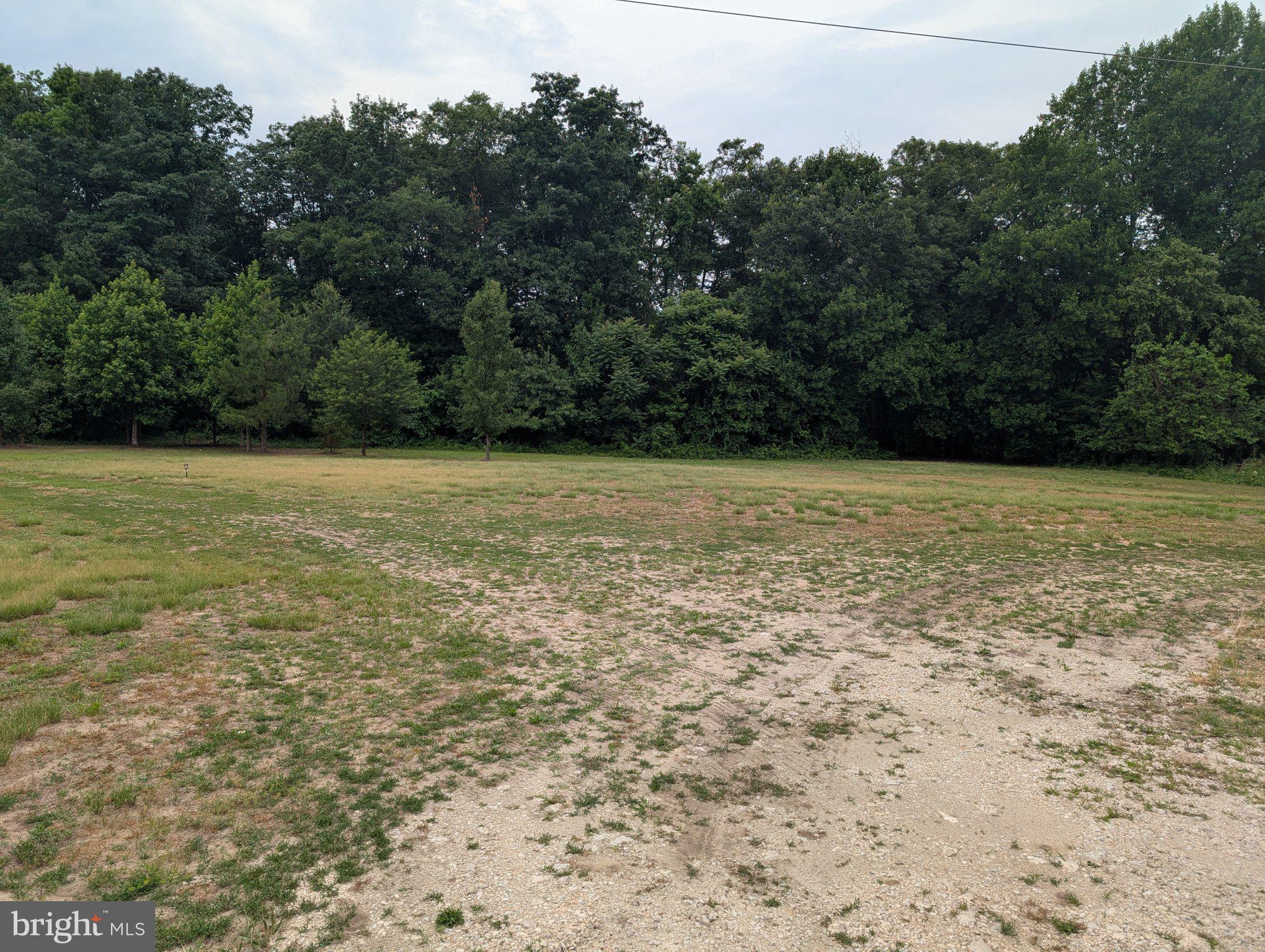 13790 Drapers Mill Road Greensboro, MD 21639 - Photo 9 of 22 Serene clearing by lush woodlands.