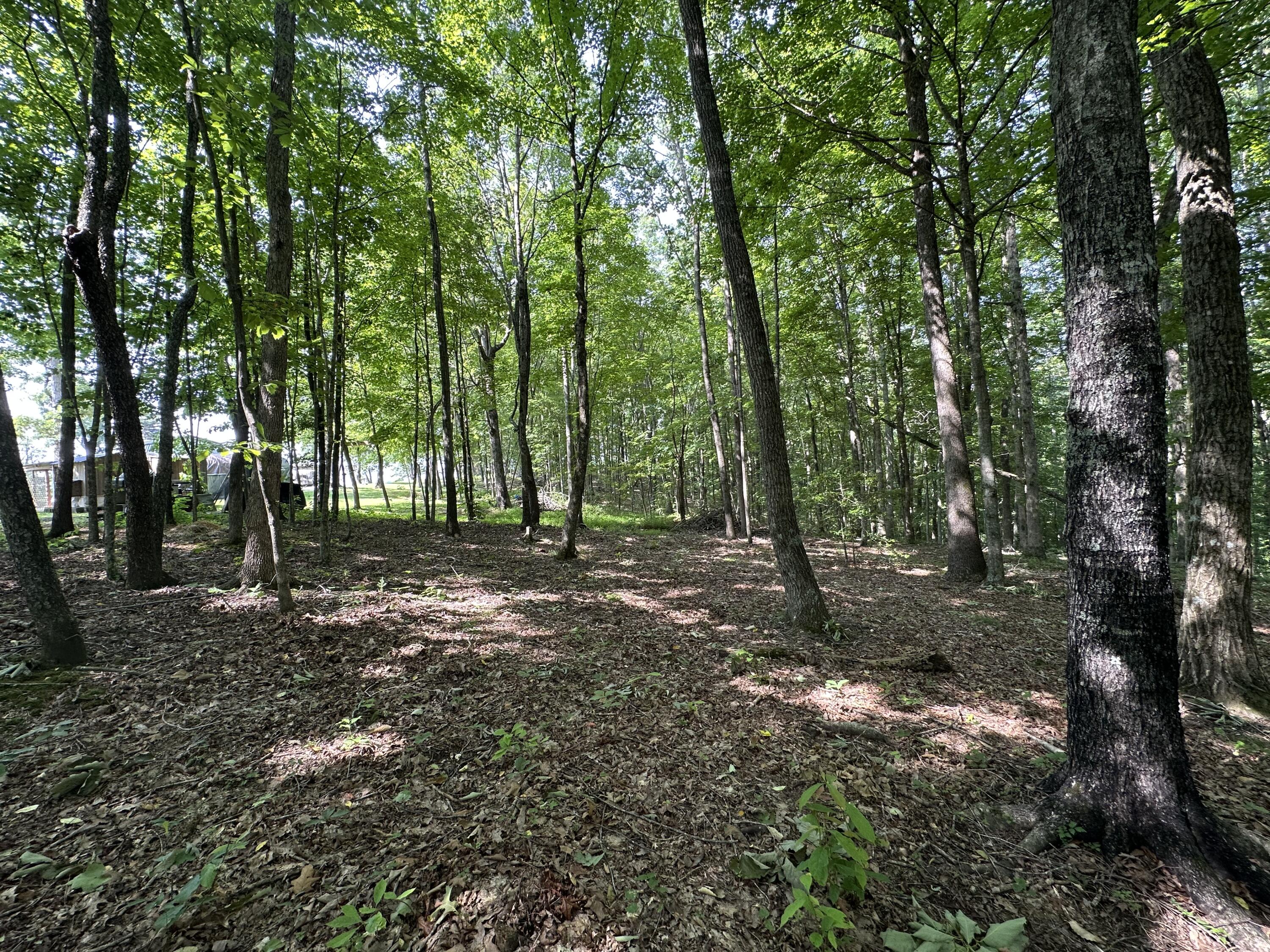 7360 Public Road Somerset, KY 42503 - Photo 62 of 75 IMG_4562