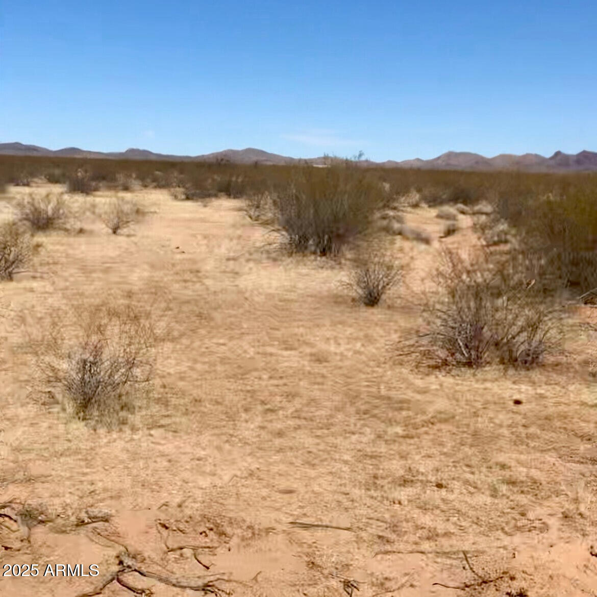 Xxx West Xxx W Trezler Road Congress, AZ 85332 - Photo 2 of 6 Desert Landscapting