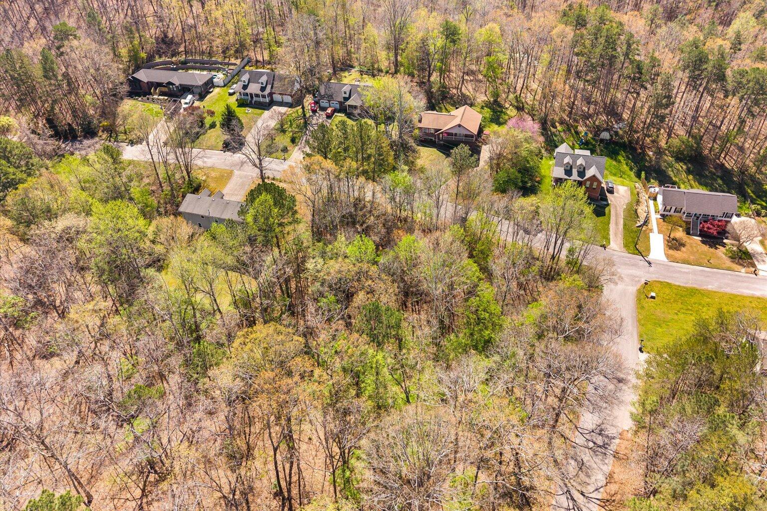 0 Fox Run Circle South Flintstone, GA 30725 - Photo 13 of 14 13-DJI_20260328124112_0231_D