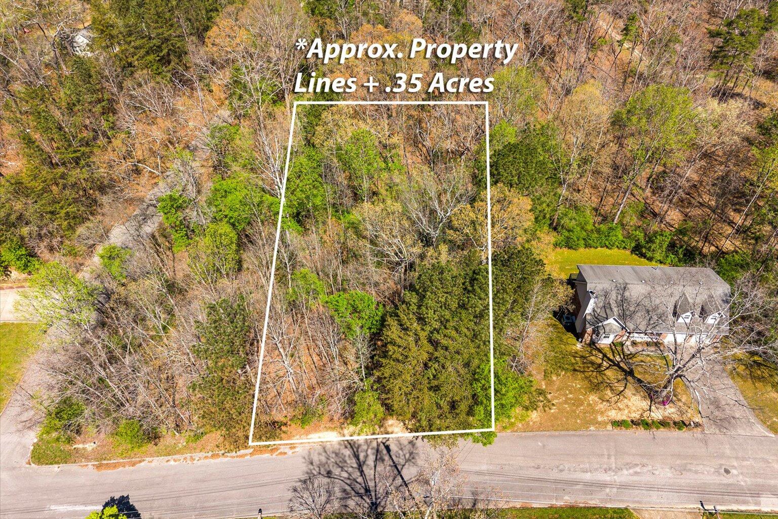 0 Fox Run Circle South Flintstone, GA 30725 - Photo 3 of 14 03-DJI_20260328124301_0261_D