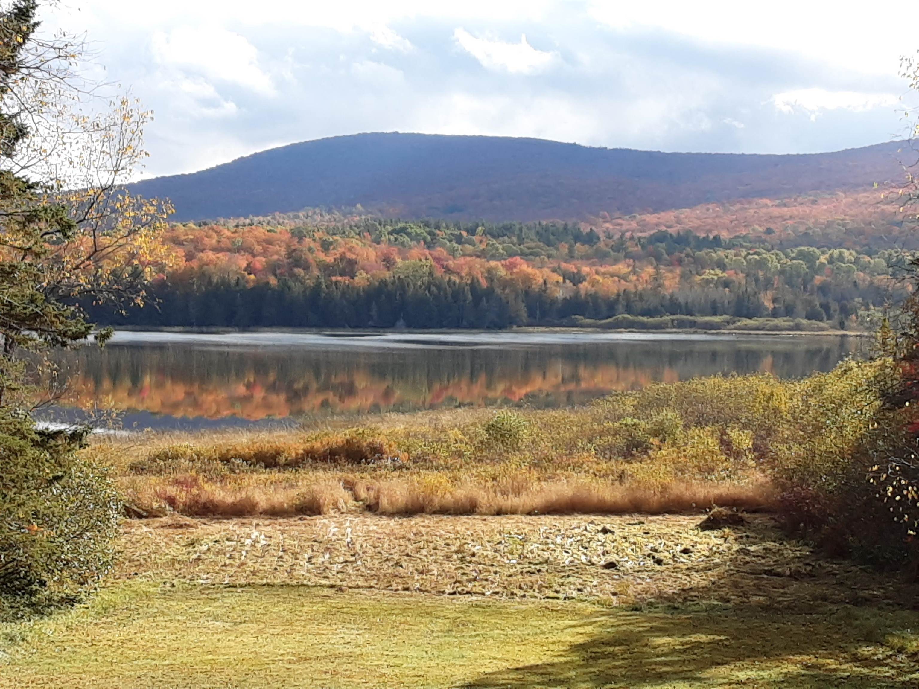 77 Flagg Pond Road Lyndonville, VT 05851 - Photo 4 of 28