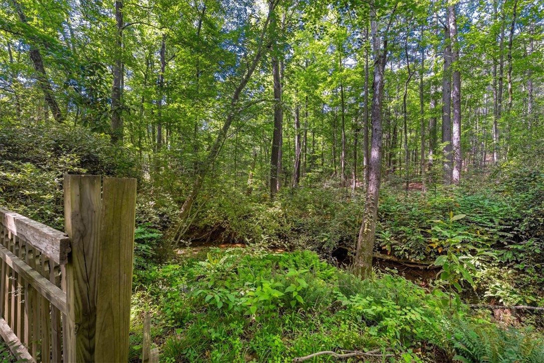 210 Briarcliff Road Central, SC 29630 - Photo 39 of 39 This serene woodland scene offers a tranquil retreat surrounded by lush natural beauty.