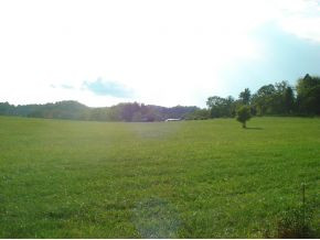 480 Webster Valley Road Rogersville, TN 37857 - Photo 3 of 11 Photo 3