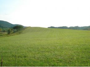 480 Webster Valley Road Rogersville, TN 37857 - Photo 8 of 11 Photo 8