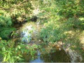 480 Webster Valley Road Rogersville, TN 37857 - Photo 10 of 11 Photo 10