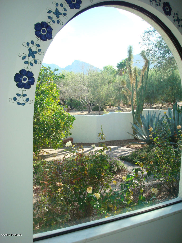 9985 North Desert Sky Road Oro Valley, AZ 85737 - Photo 13 of 43