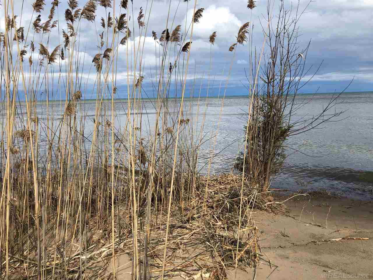 3353 South Lake Shore Road Harbor Beach, MI 48441 - Photo 8 of 20 Gallery Image 8
