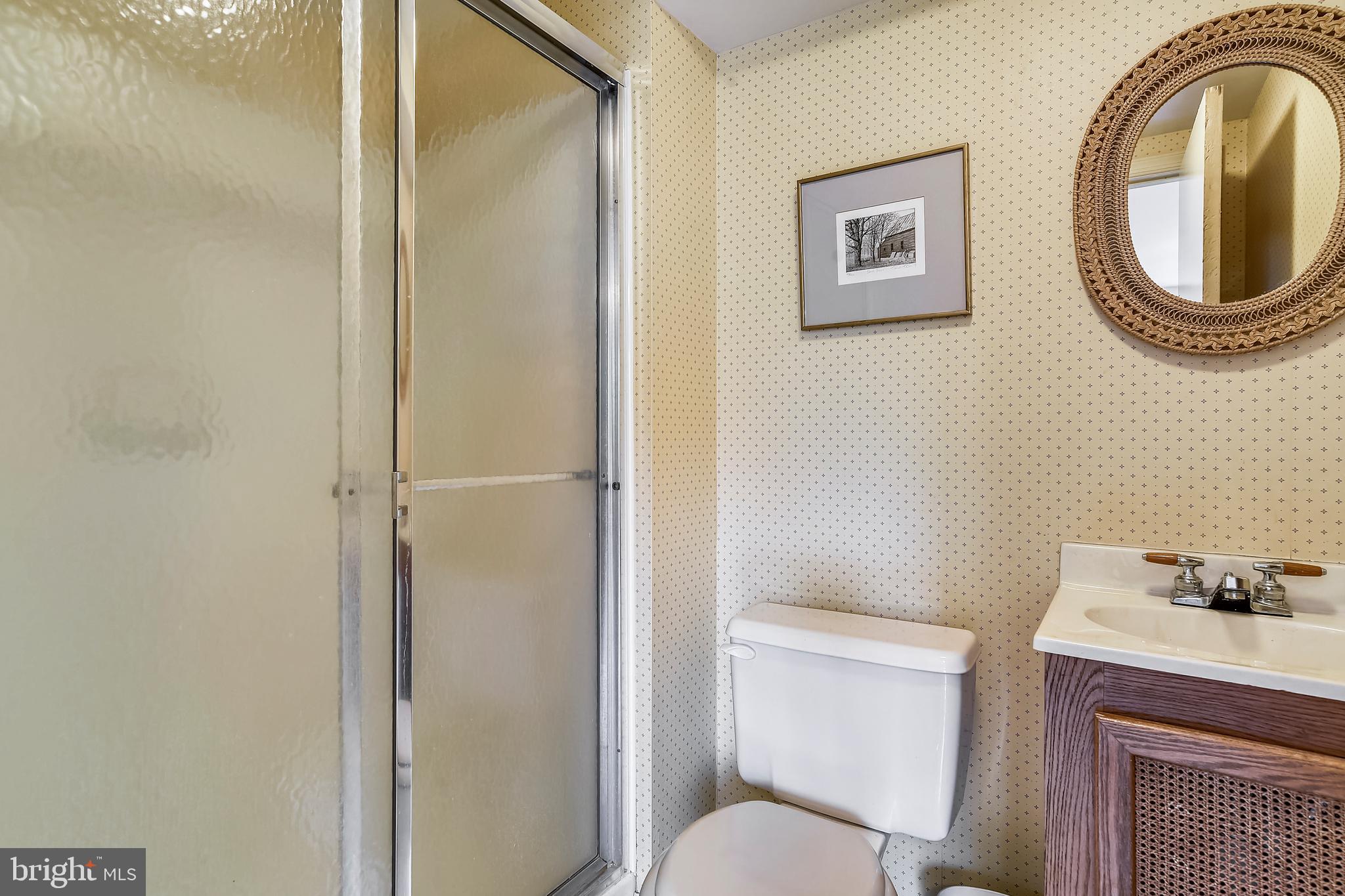 3300 Circle Hill Road Alexandria, VA 22305 - Photo 38 of 51 Lower Level Bath