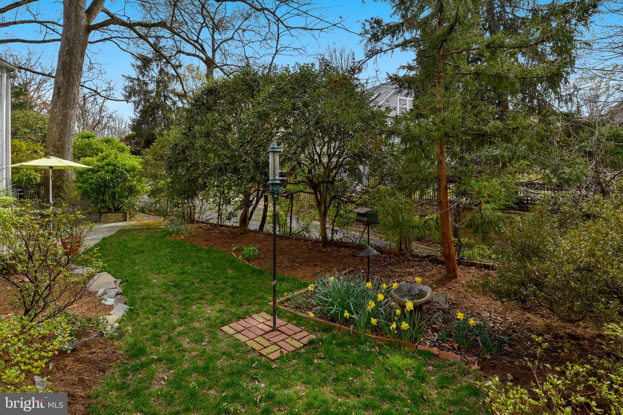 3300 Circle Hill Road Alexandria, VA 22305 - Photo 40 of 51 Back Yard