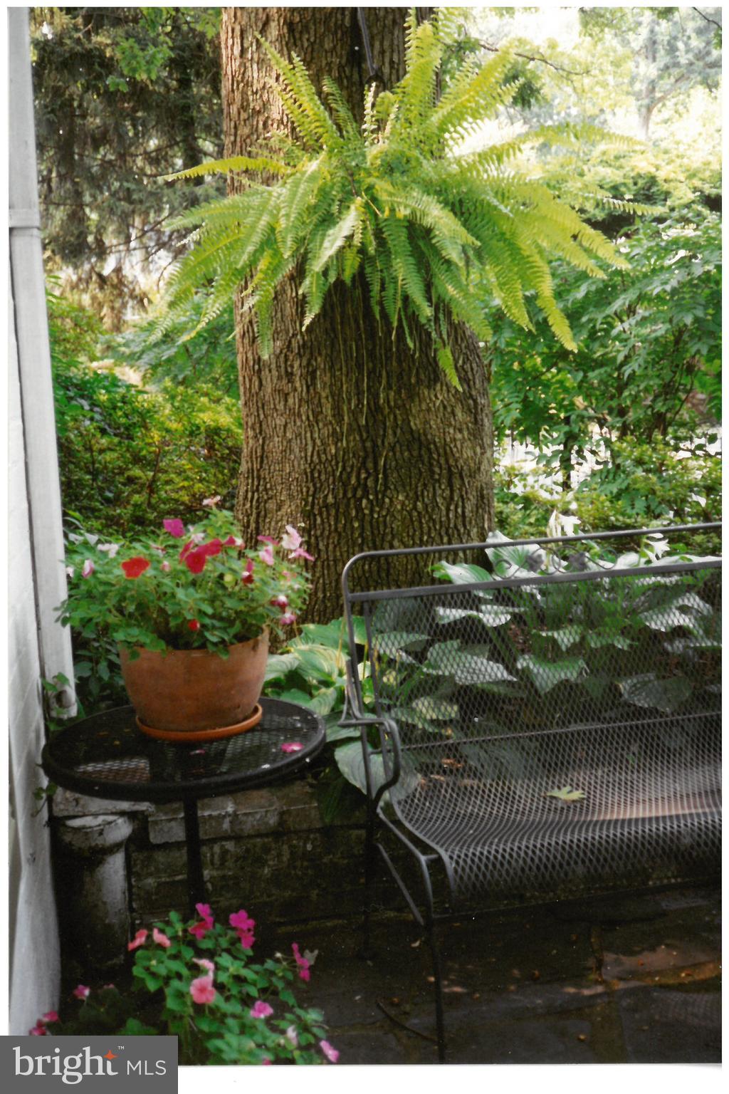 3300 Circle Hill Road Alexandria, VA 22305 - Photo 45 of 51 Patio