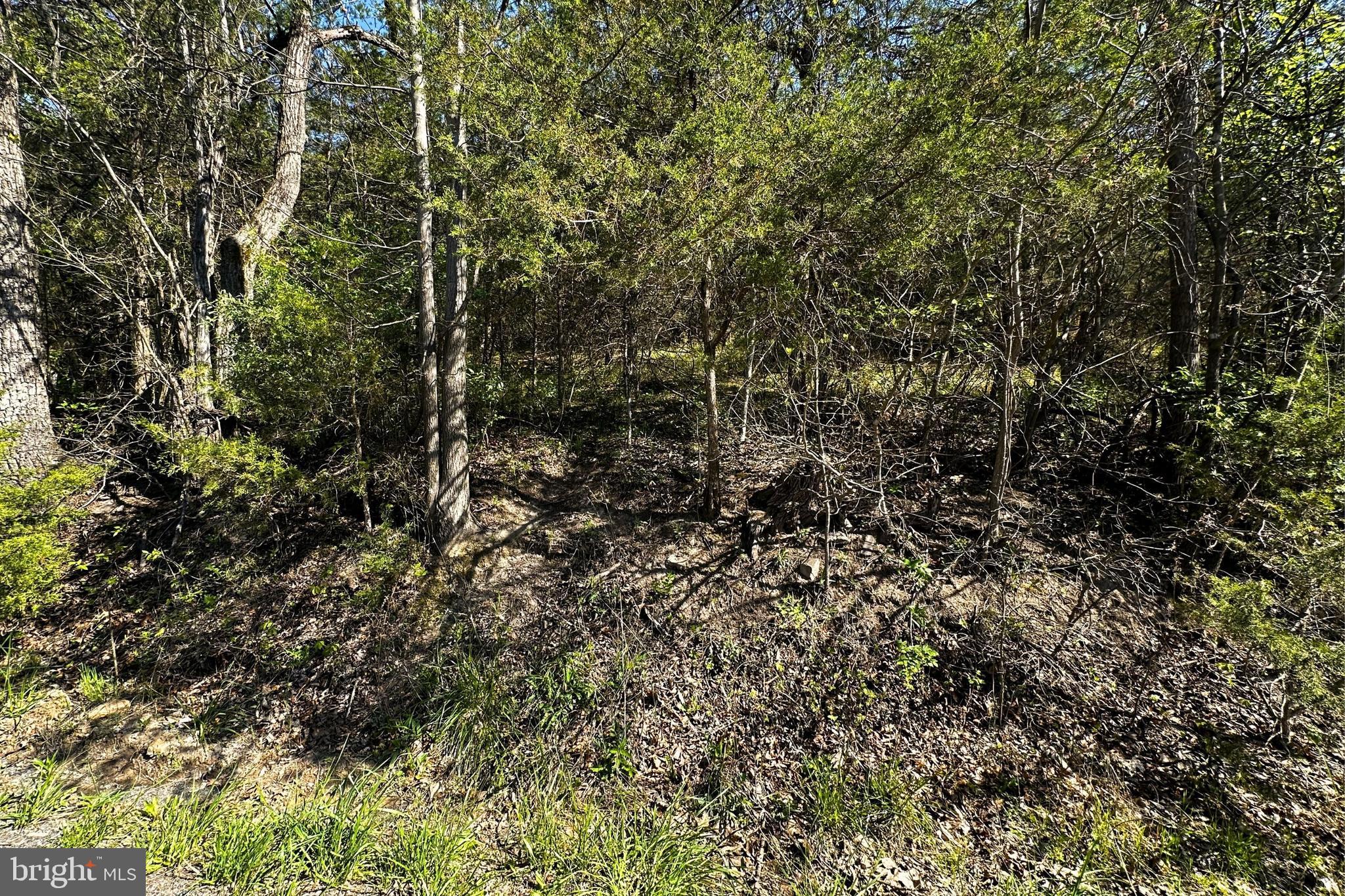 Lot 1 Deep Run Hollow Road Delray, WV 26714 - Photo 4 of 26
