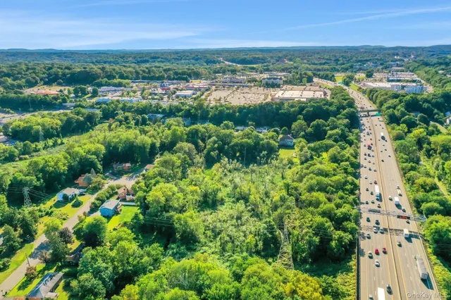 a close up of a plant