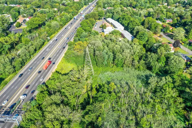 a close up of a lush green forest