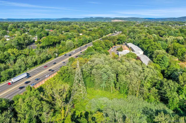 a close up of a plant in a garden