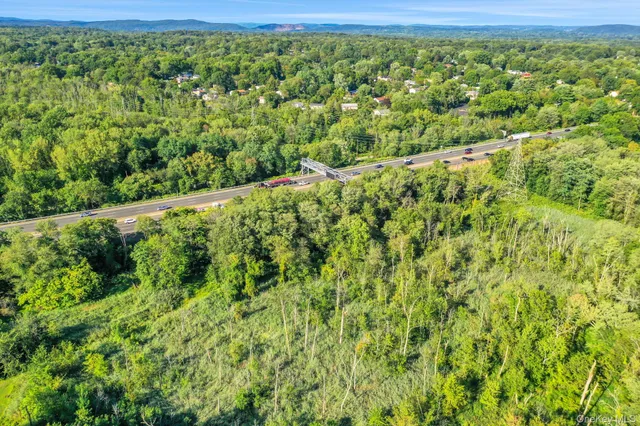 a view of a lush green forest with a lush green forest