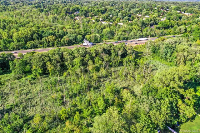 a view of a lush green forest with lots of trees