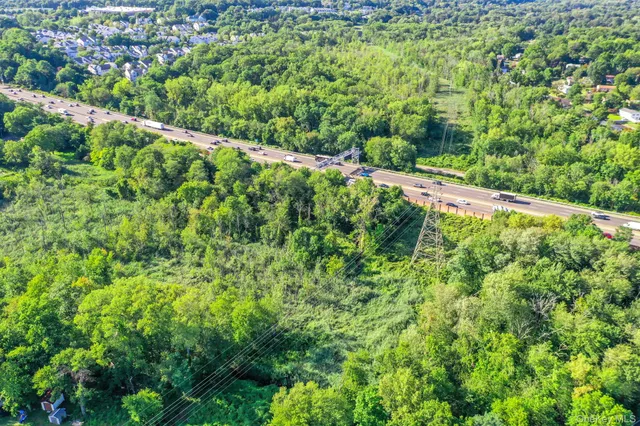 a view of a garden with a plant