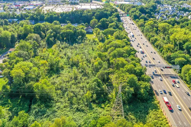 a view of a garden with a tree
