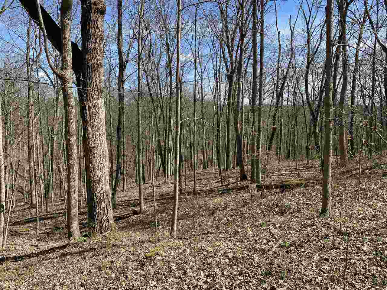 0 Mattox Road Brooksville, KY 41004 - Photo 11 of 22 Gallery Image 11
