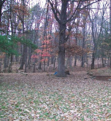 4639 Dickerson Road Roanoke, VA 24014 - Photo 16 of 21 lots of privacy