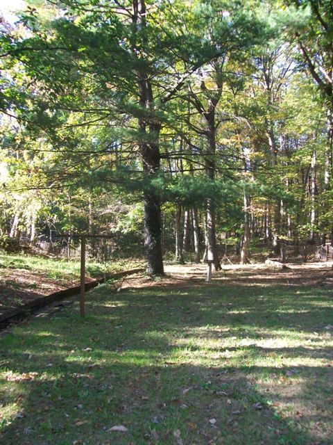 4639 Dickerson Road Roanoke, VA 24014 - Photo 17 of 21 lot backs up to parkway