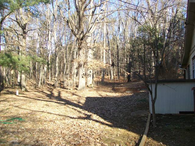 4639 Dickerson Road Roanoke, VA 24014 - Photo 19 of 21 side yard